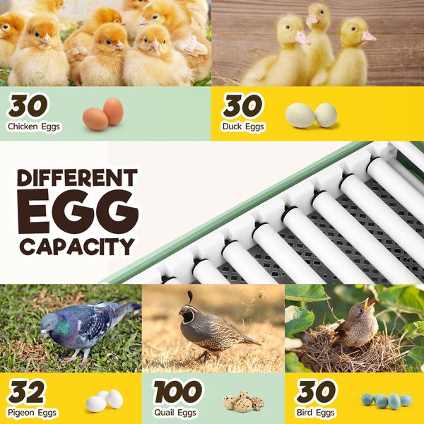 32 Eggs Incubator Automatic Chicken Hatching Quail Duck Hatcher Turner Transparent Temperature Control