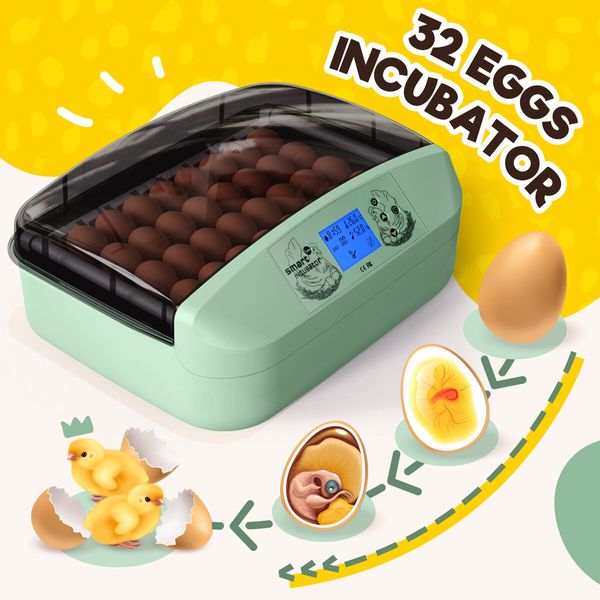 32 Eggs Incubator Automatic Chicken Hatching Quail Duck Hatcher Turner Transparent Temperature Control