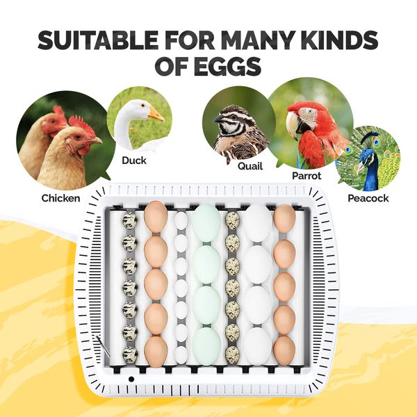 35 Eggs Incubator Automatic Hatcher Chicken Duck Quail Hatching Roller Humidity Temperature Control Transparent