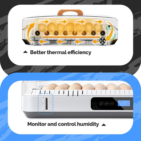 35 Eggs Incubator Automatic Hatcher Chicken Duck Quail Hatching Roller Humidity Temperature Control Transparent