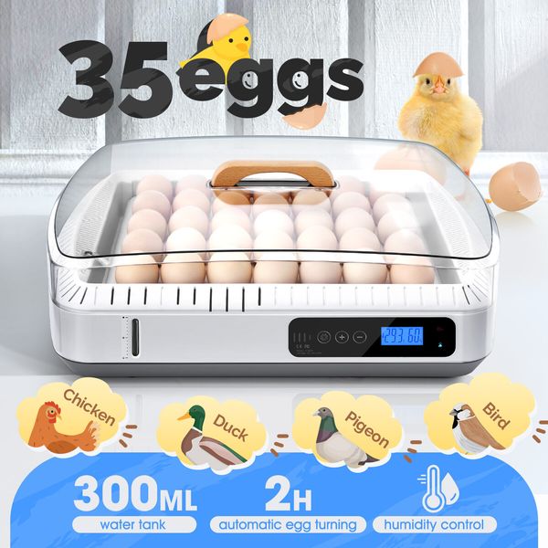 35 Eggs Incubator Automatic Hatcher Chicken Duck Quail Hatching Roller Humidity Temperature Control Transparent