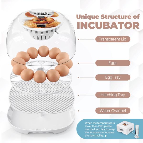 12 Eggs Incubator Automatic Hatching Chicken Quail Duck Hatcher Turner Transparent Humidity Temperature Control