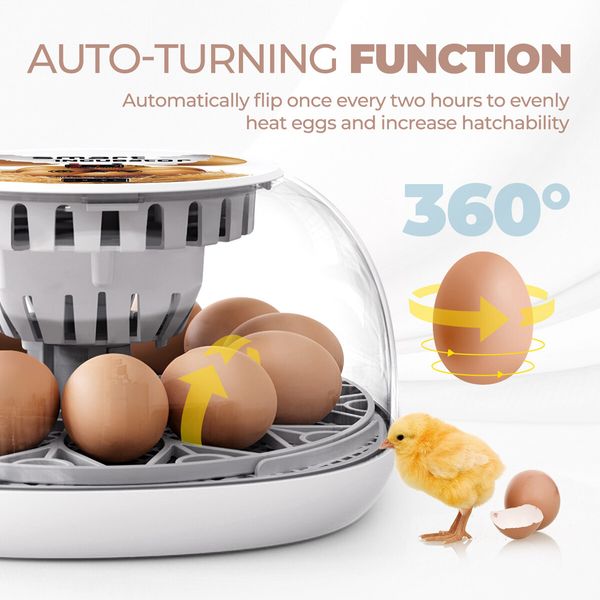 12 Eggs Incubator Automatic Hatching Chicken Quail Duck Hatcher Turner Transparent Humidity Temperature Control