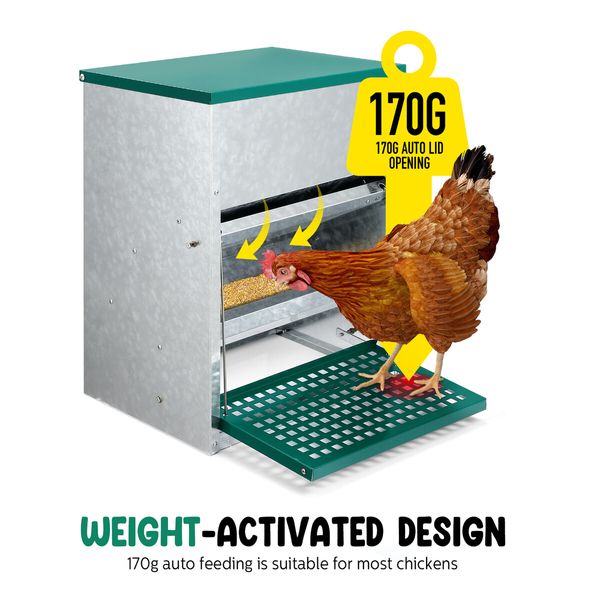 Auto Chicken Feeder 10kg Automatic Treadle Poultry Chook Rat Proof Food Dispenser Feeding Equipment Galvanized Steel