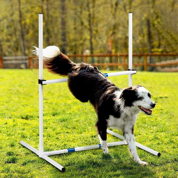 Dog Agility Equipment 7PCS Set Obstacle Course Pet Training Supplies Toys Jump Hurdle Tunnel Weave Poles Pause Box Carry Bags