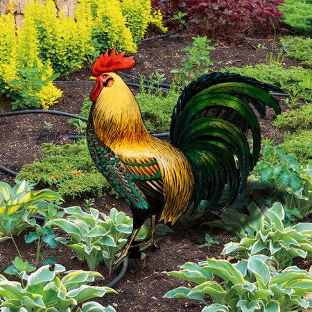 Rooster Decor, Acrylic Yard Chicken Decorations for Backyard, Lawn, Pathway, Garden, Lawn