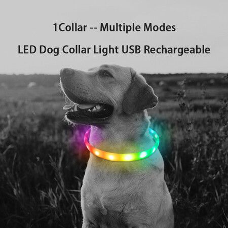 11 Colors LED USB Rechargeable Dog Collar LED Light Night Safety Glowing Collar Pet Luminous Flashing Necklace Anti-Lost Harnesses