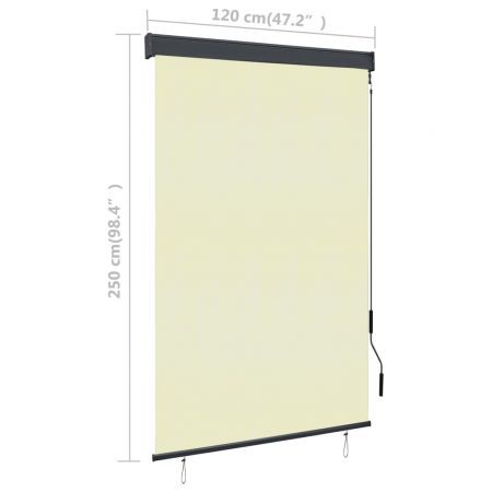 Outdoor Roller Blind 120x250 cm Cream