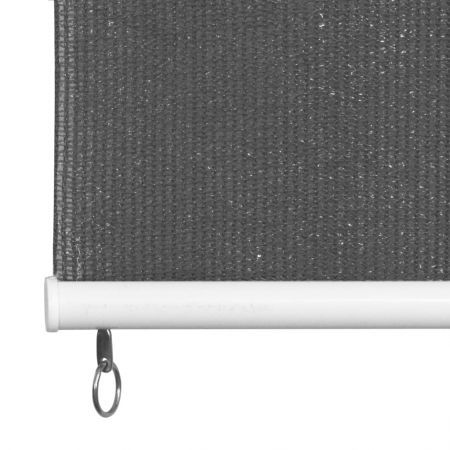 Outdoor Roller Blind 220x140 cm Anthracite