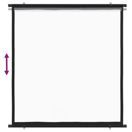 Projection Screen 160 cm 1:1