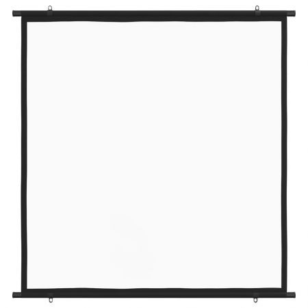 Projection Screen 119.4 cm 1:1