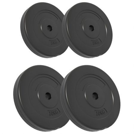 Weight Plates 4 pcs 30 kg Cement