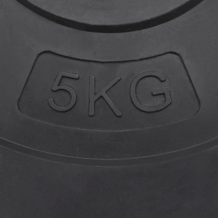 Weight Plates 4 pcs 30 kg Cement