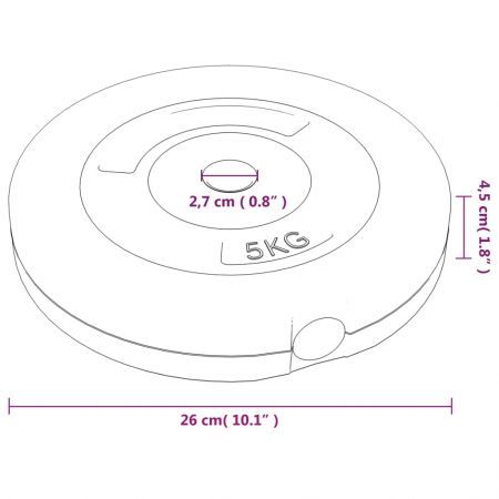 Weight Plates 4 pcs 30 kg Cement