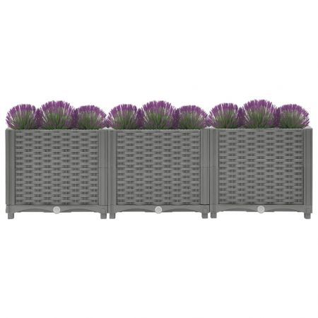 Raised Bed 120x40x38 cm Polypropylene