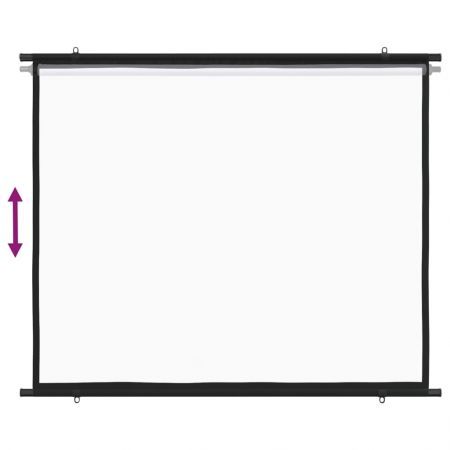 Projection Screen 254 cm 4:3