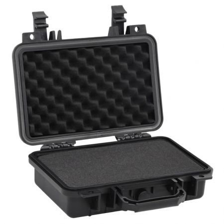 Portable Flight Case Black 30x22x10 cm PP