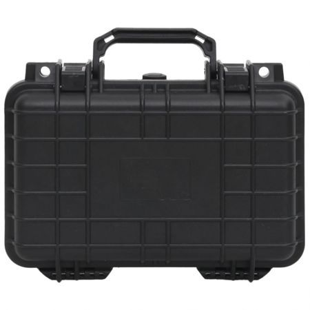 Portable Flight Case Black 30x22x10 cm PP