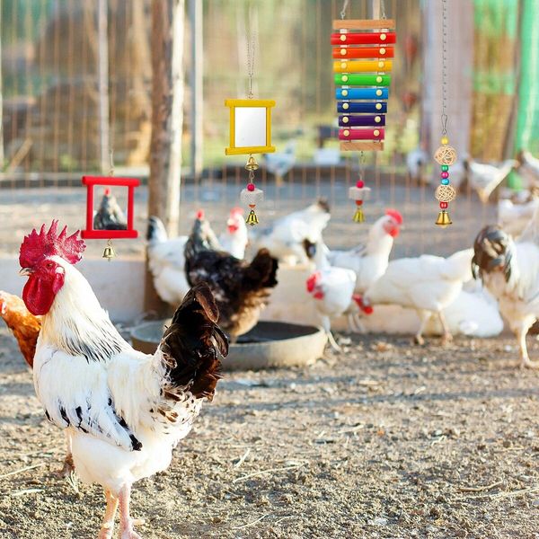 6 Packs Chicken Toys, Chicken Xylophone hens, Chicken Mirror Toys, Chicken Ladders Swing Toys and Vegetable Hanging Feeder Chicken Coop Accessories