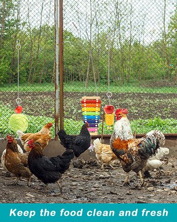 5 Packs Chicken Toys, Chicken Xylophone hens, Chicken Mirror Toys, Chicken Ladders Swing Toys and Vegetable Hanging Feeder Chicken Coop Accessories