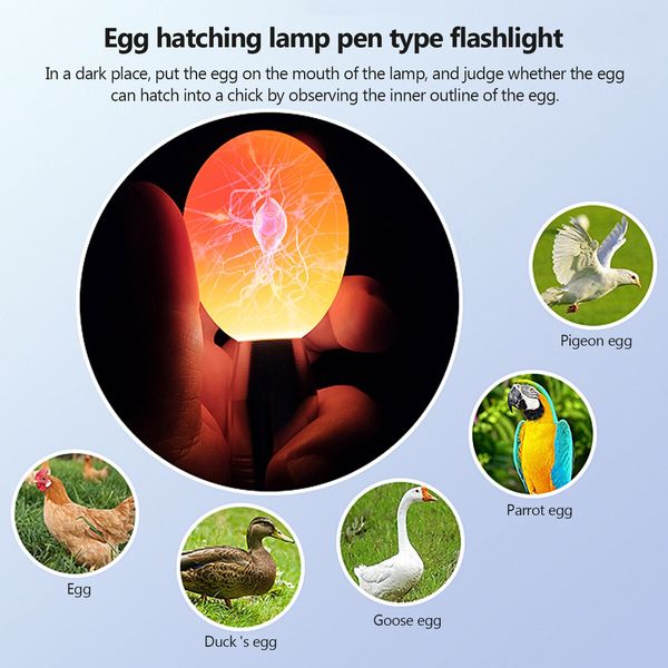 Egg Candler Tester, Bright Cool LED Light Candling Lamp for All Chicken Dark Quail Duck Canary Eggs