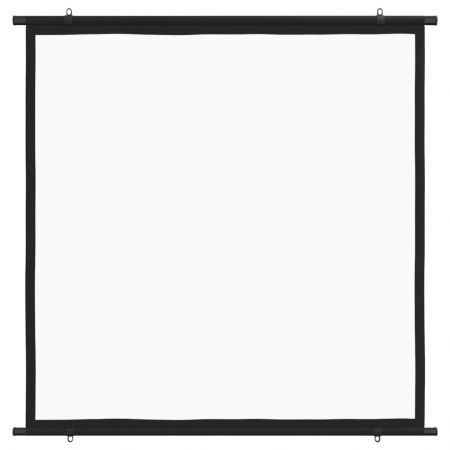 Projection Screen 127 cm 1:1