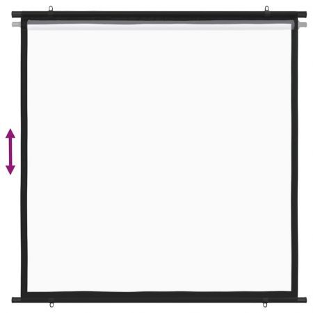 Projection Screen 127 cm 1:1