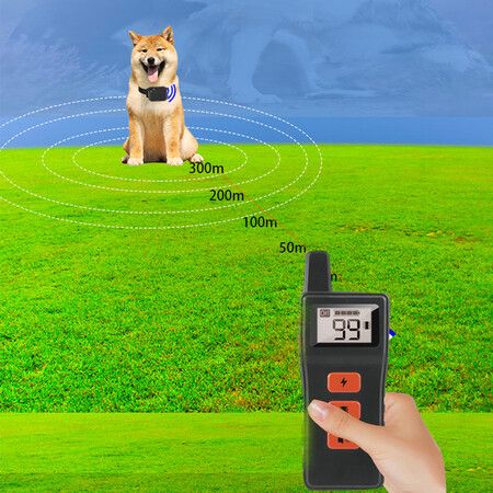 300M Dog Training Collar with Remote for 2 Dogs, Rechargeable Waterproof Dog Remote Collar