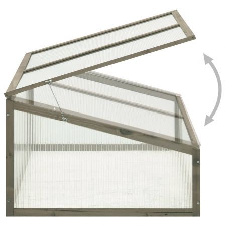 Greenhouse 100x65x40 cm Firwood