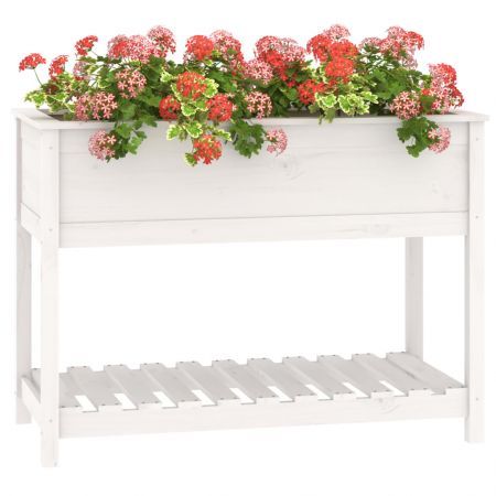 Planter with Shelf White 111.5x54x81 cm Solid Wood Pine