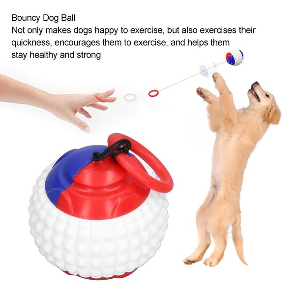 Dog Ball on a Rope Training Dog Treat Toy Ball Throwing Ball Interactive Outdoor Tossing for Pet Dog(Blue)