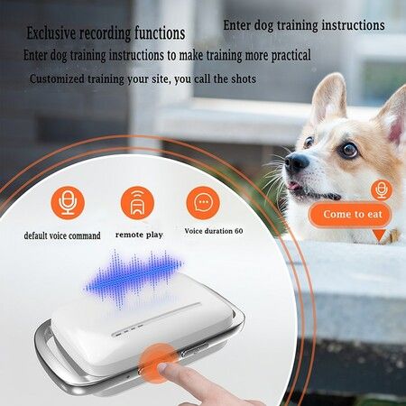 Remote Control Recording for 1 Dog Training Device Optional Without Electric Shock 1000M Deep Waterproof Bark Stop Device