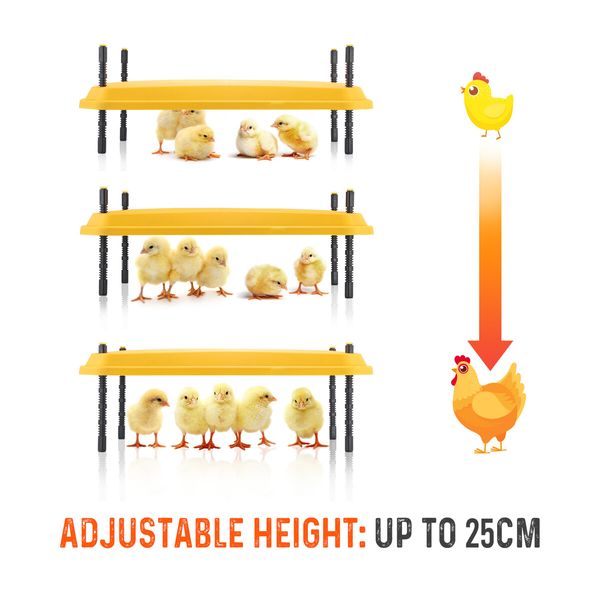 Chick Brooder Heating Plate Warmer Chicken Coop Brooding Heater Poultry Duckling Chook 40x60cm 40 to 50 Chicks Adjustable Height