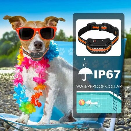 Dog Training Collar with Remote, Sound and Vibration Training Modes for Small Medium Large Dogs For 2 Dogs