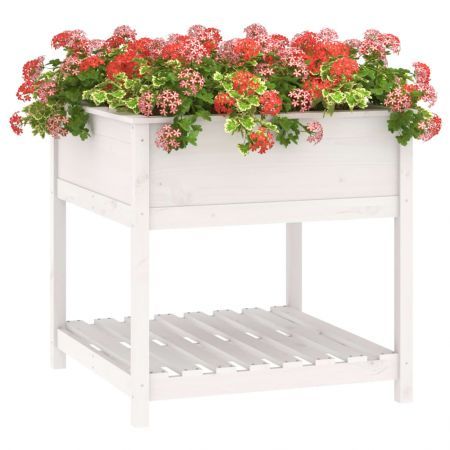 Planter with Shelf White 82.5x82.5x81 cm Solid Wood Pine