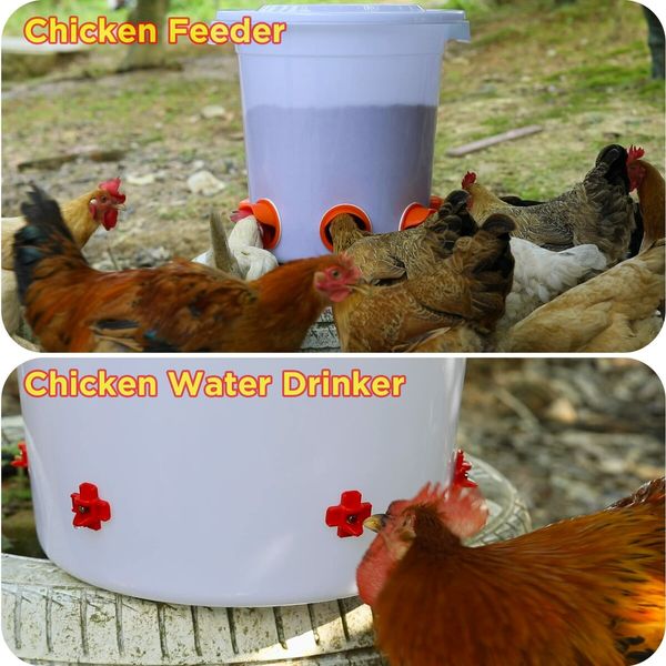 DIY No Waste Chicken Feeders and Waterer Set 6 Ports with 6 Chicken Water Nipples,Rodent Proof Rain Proof Automatic Poultry Duck Feeder Kit