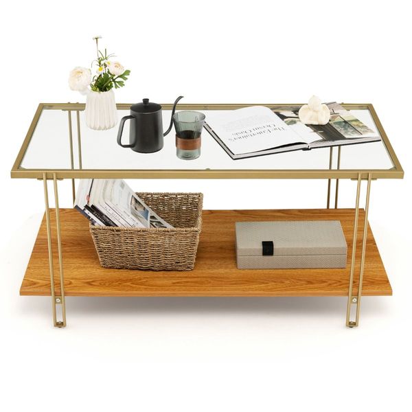 2 Tier Rectangular Coffee Table with Gold Steel Frame and Storage Shelf for Living Room