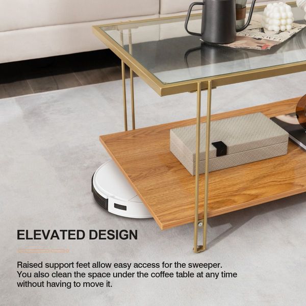 2 Tier Rectangular Coffee Table with Gold Steel Frame and Storage Shelf for Living Room