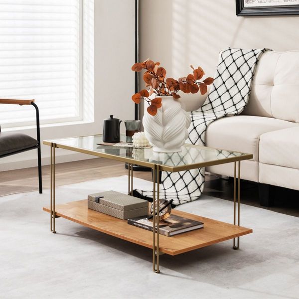 2 Tier Rectangular Coffee Table with Gold Steel Frame and Storage Shelf for Living Room