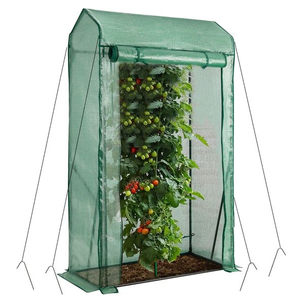 Walk-in Garden Greenhouse with Roll-up Door for Vegetables & Flowers