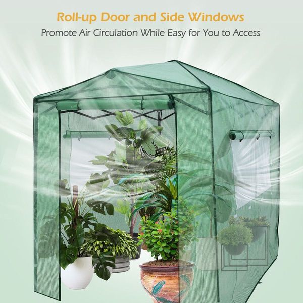 Walk-In Greenhouse Garden Shed Plant Storage Green House Pop-Up Windows