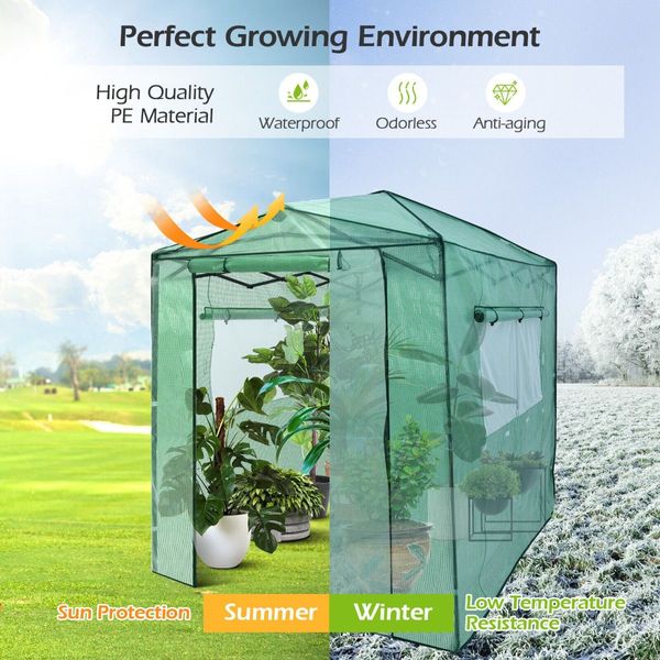 Walk-In Greenhouse Garden Shed Plant Storage Green House Pop-Up Windows