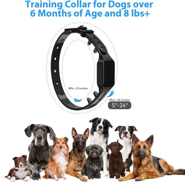 Dog Bark Collar 300m Bark Collar for Large Medium Small Dogs Rechargeable Anti Barking Training Collar Bark Shock Collar Beep Vibration