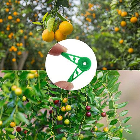 60 Pcs 360 Degree Adjustable Plant Stem Training Clips Plant Branches Bender Clips Plant Low Stress Training Control Green