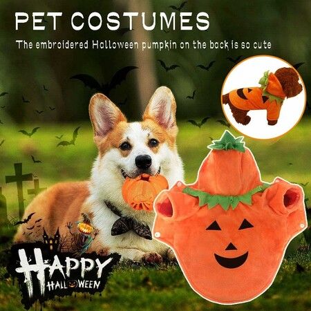 Dog Cat Halloween Pumpkin Costume,Pet Cosplay Costumes,Puppy Warm Outfits Fleece Hoodie Animal Autumn Winter Clothes (L Size)