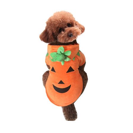 Dog Cat Halloween Pumpkin Costume,Pet Cosplay Costumes,Puppy Warm Outfits Fleece Hoodie Animal Autumn Winter Clothes (M Size)