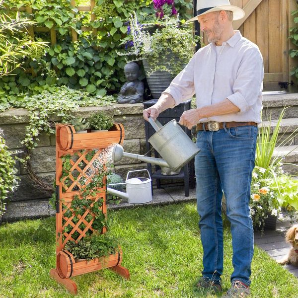 Outdoor Wood Raised Garden Bed with Trellis for Garden/Patio