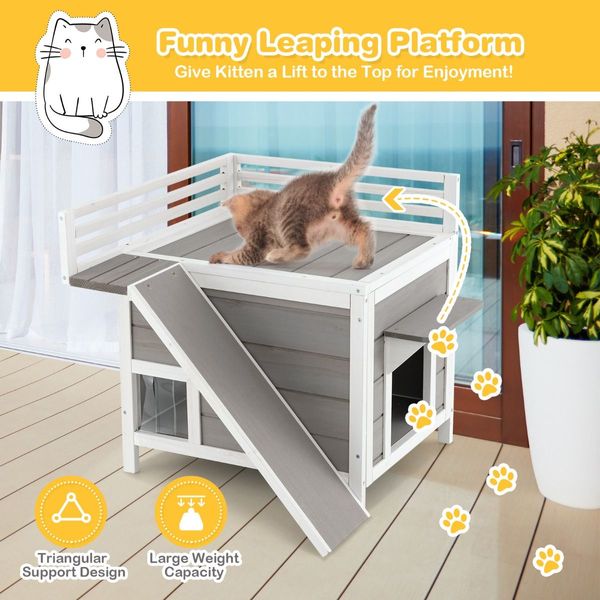 Feral Kitty Houses with Escape Doors and Wide Side Ladder for Pet