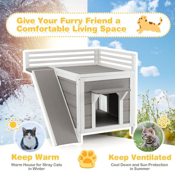 Feral Kitty Houses with Escape Doors and Wide Side Ladder for Pet