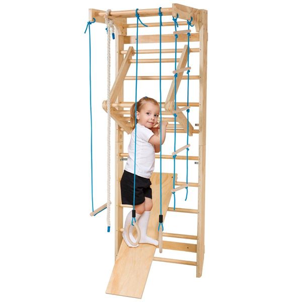 2.2m Pull-Up Wall Bars with Rings & Swing & Slide for Children & Adults